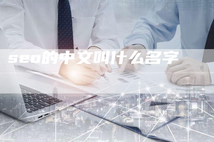 seo的中文叫什么名字