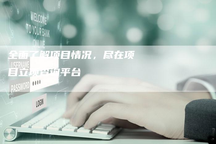 全面了解项目情况，尽在项目立项查询平台