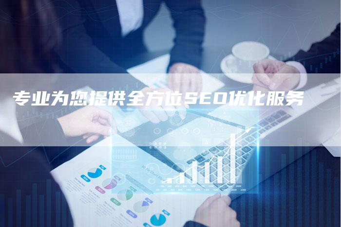 专业为您提供全方位SEO优化服务