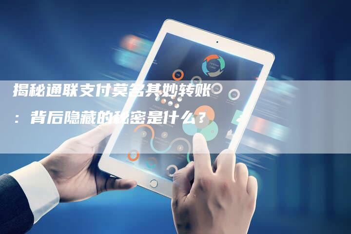 揭秘通联支付莫名其妙转账：背后隐藏的秘密是什么？-夫唯域名网