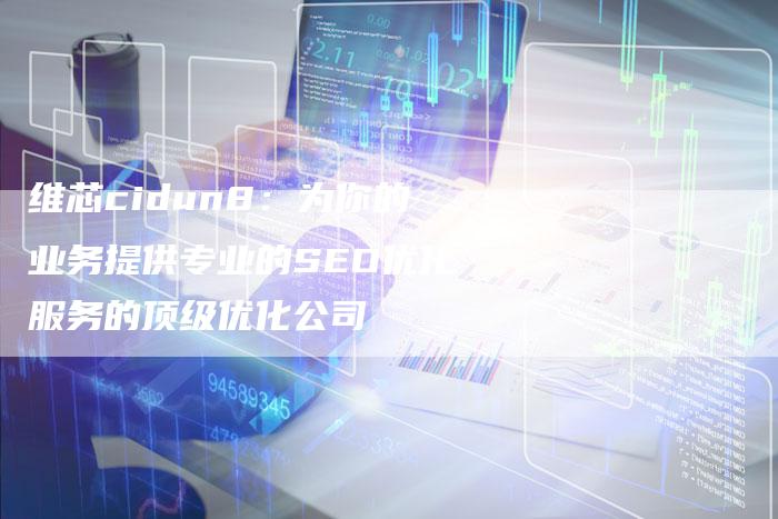 维芯cidun8：为你的业务提供专业的SEO优化服务的顶级优化公司