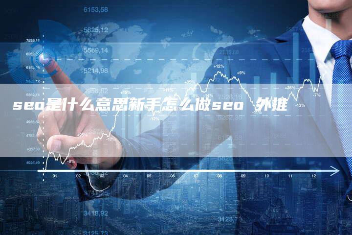 seo是什么意思新手怎么做seo 外推