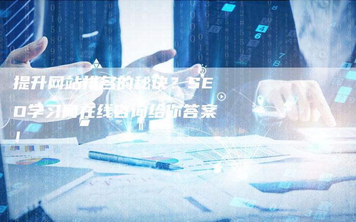 提升网站排名的秘诀？SEO学习网在线咨询给你答案！-夫唯域名网