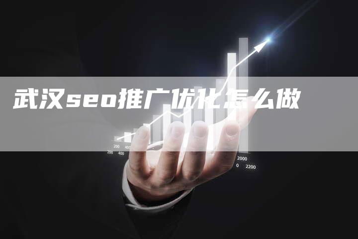 武汉seo推广优化怎么做