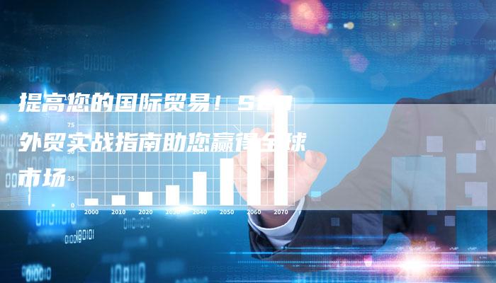 提高您的国际贸易！SEO外贸实战指南助您赢得全球市场-夫唯域名网
