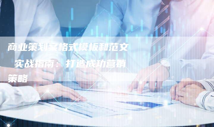 商业策划案格式模板和范文 实战指南：打造成功营销策略