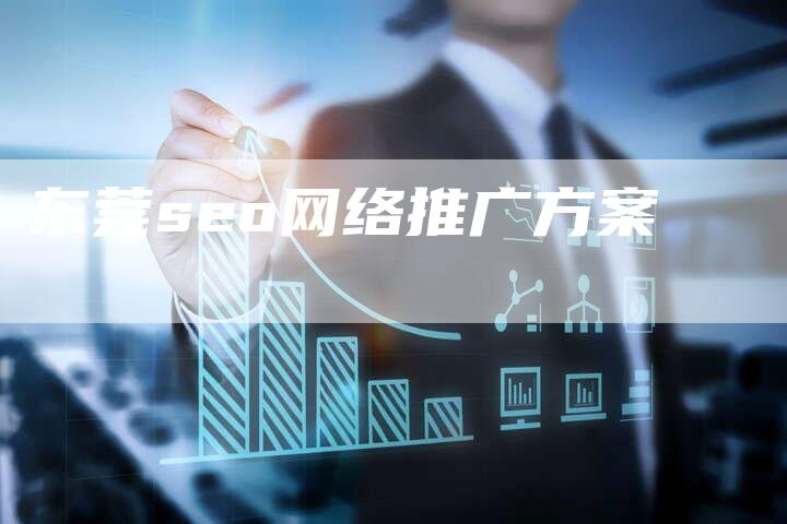 东莞seo网络推广方案